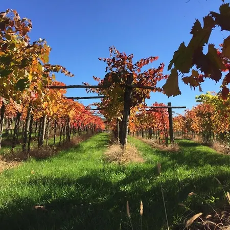 Luxury In Perfect Location, 1003 Villa Sežana