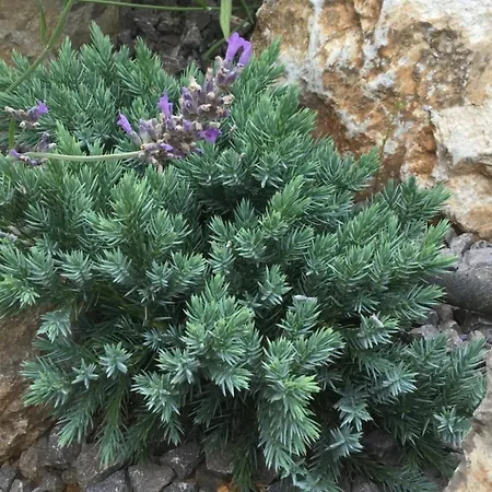 فيلة Luxury In Perfect Location, 1003