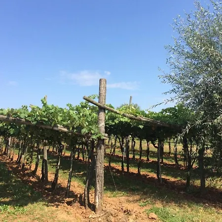 Luxury In Perfect Location, 1003 Villa Sežana