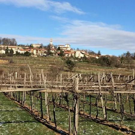 Villa Luxury In Perfect Location, 1003 Sežana