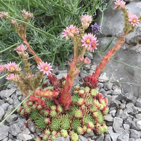 فيلة Luxury In Perfect Location, 1003