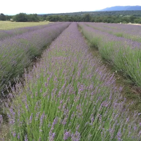 Villa Luxury In Perfect Location, 1003 Sežana