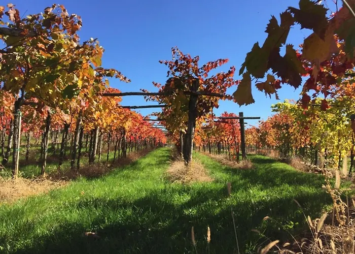 Luxury In Perfect Location, 1003 וילה Sežana