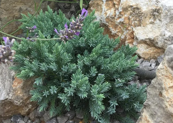 וילה Luxury In Perfect Location, 1003