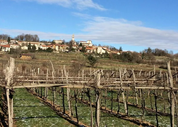 וילה Luxury In Perfect Location, 1003 Sežana