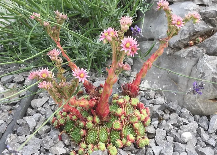 וילה Luxury In Perfect Location, 1003