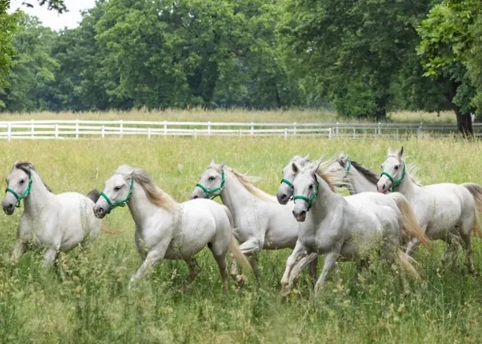 וילה Luxury In Perfect Location, 1003